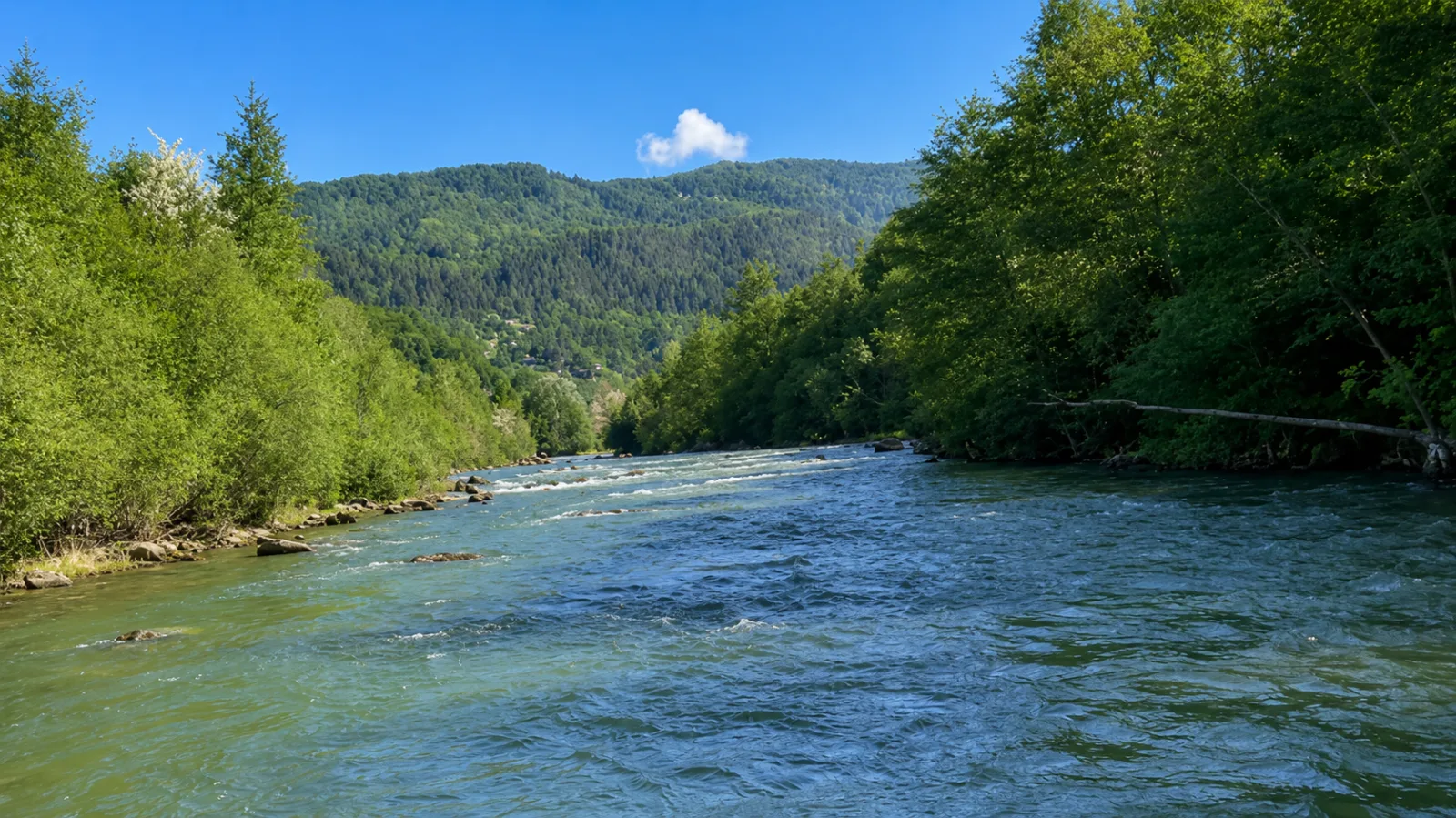 Râul Buzău – Traseul de Rafting Nehoiașu–Valea Lupului