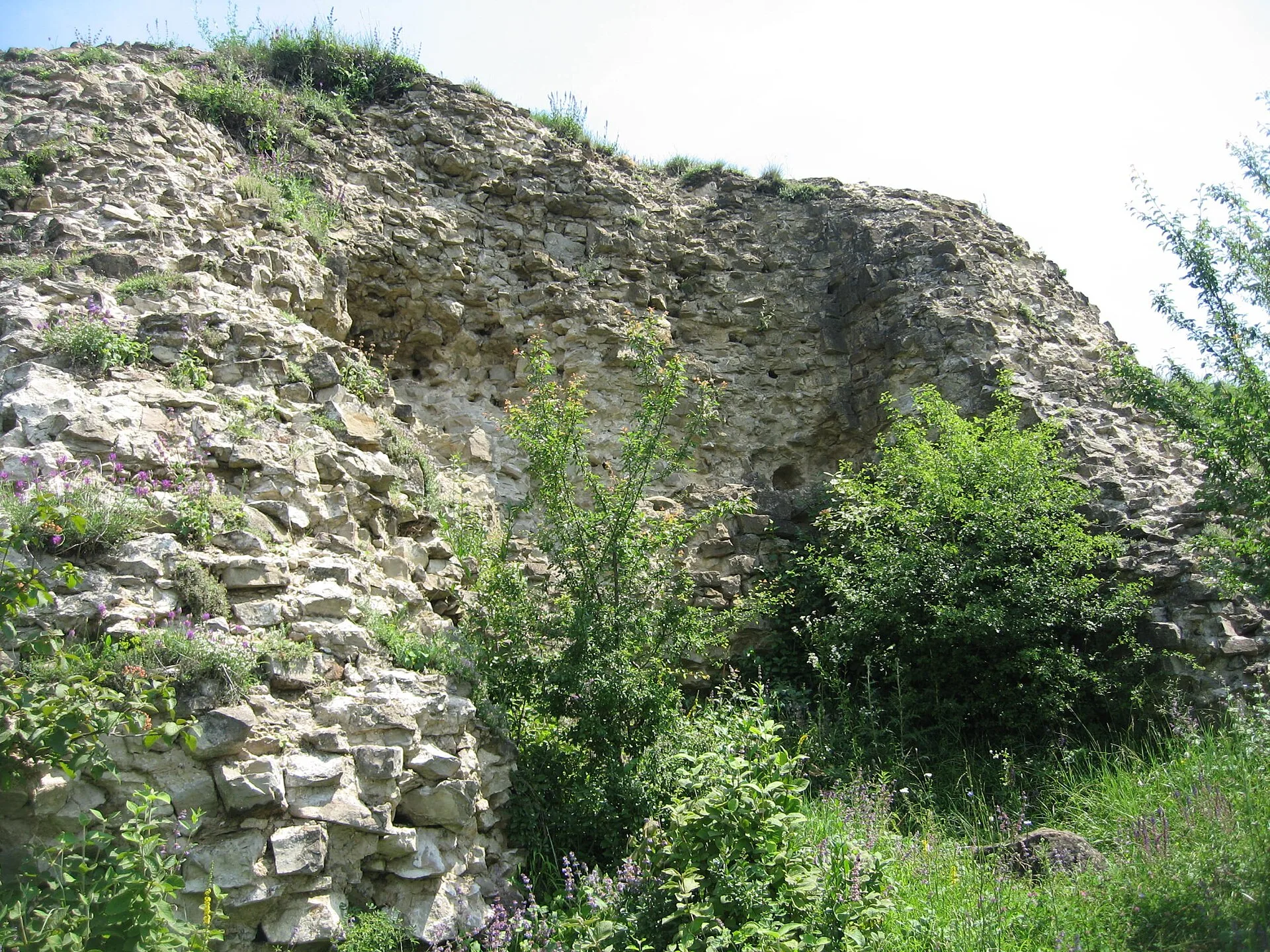 Șcheia Fortress (the Western Fortress of Suceava)