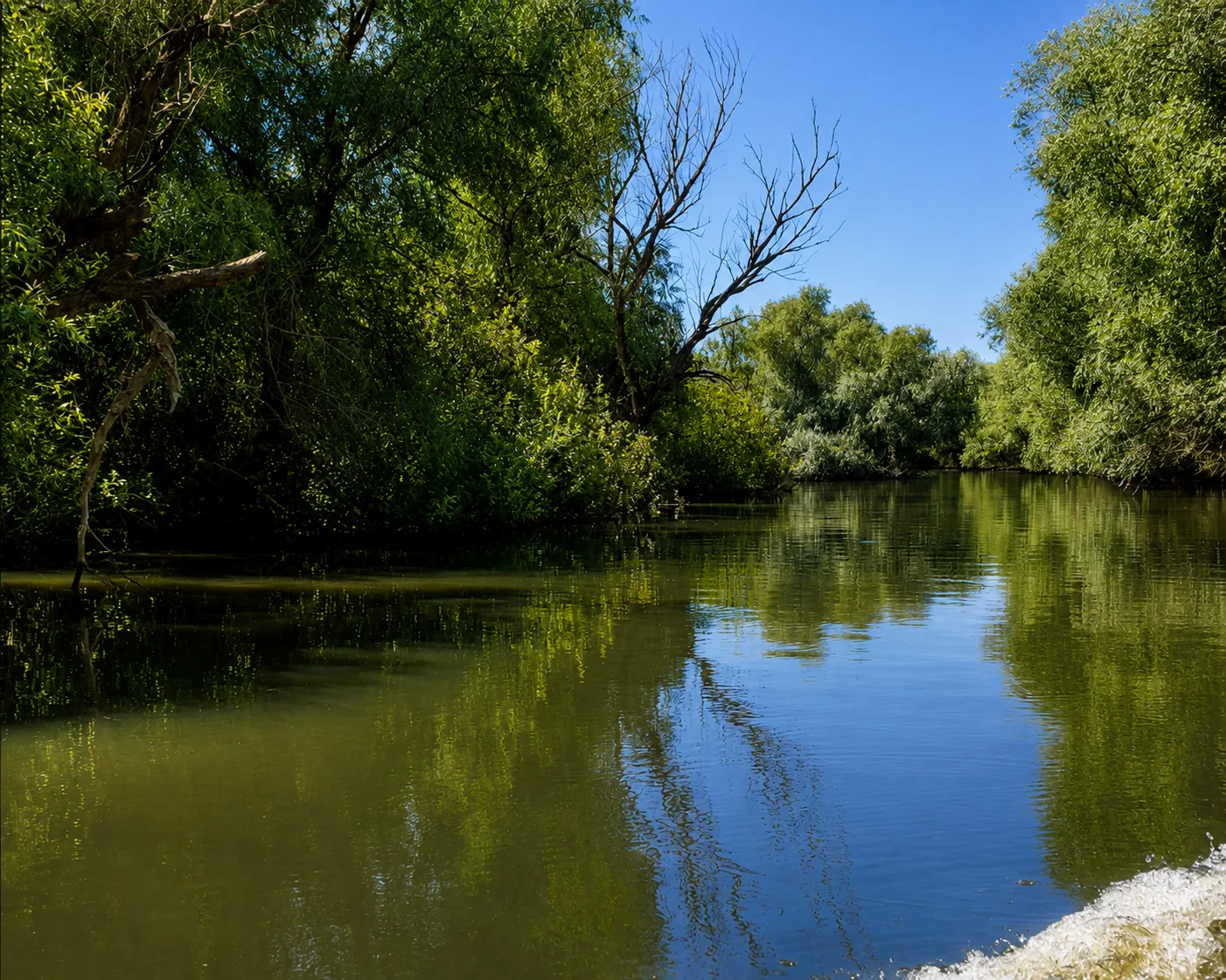 Lacul Roșu și Lacul Puiu