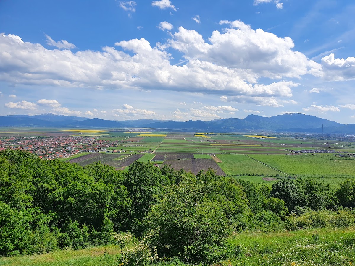 Rezervația Naturală Dealul Lempeș