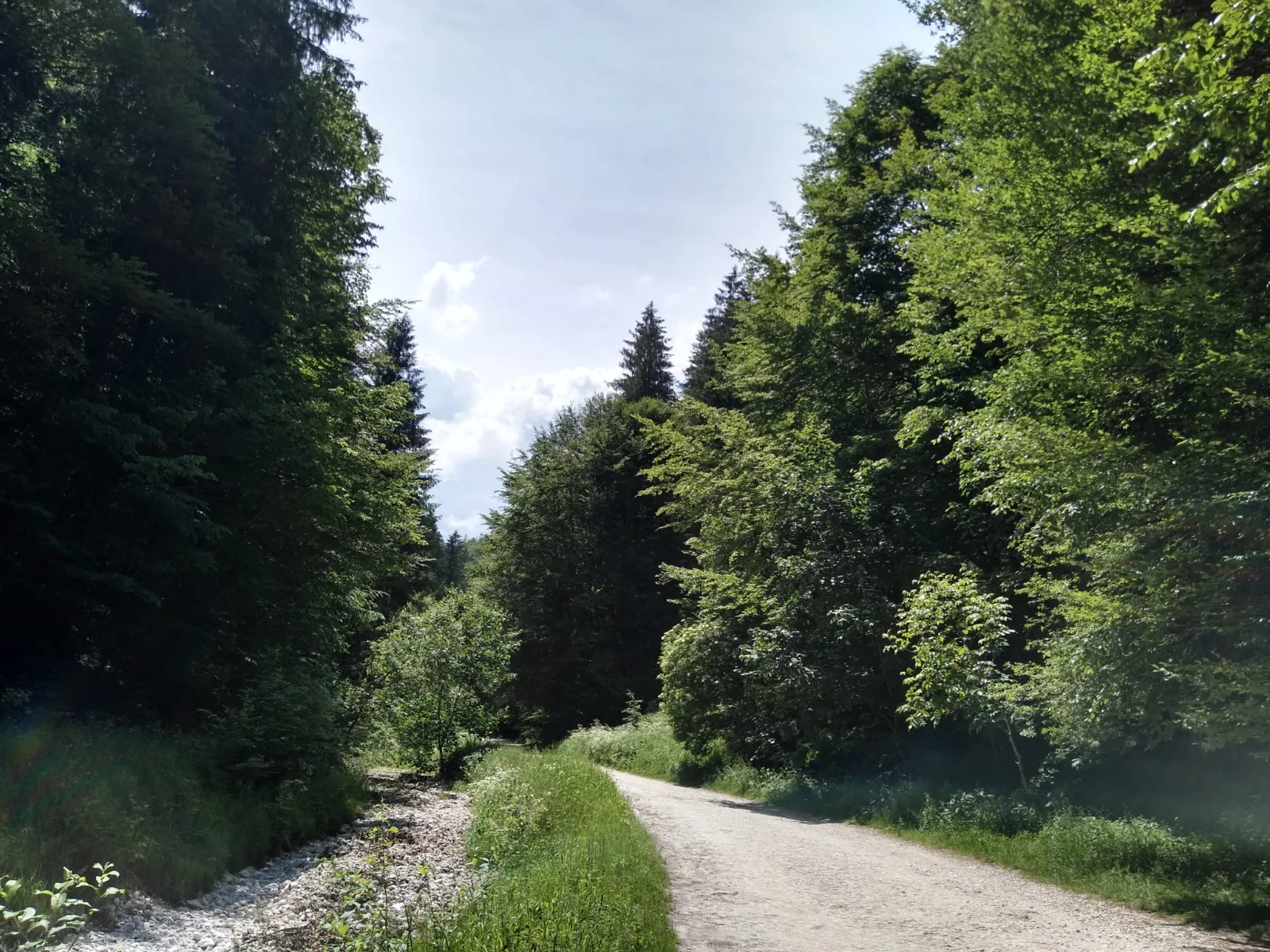 Prăpăstiile Zărneștiului