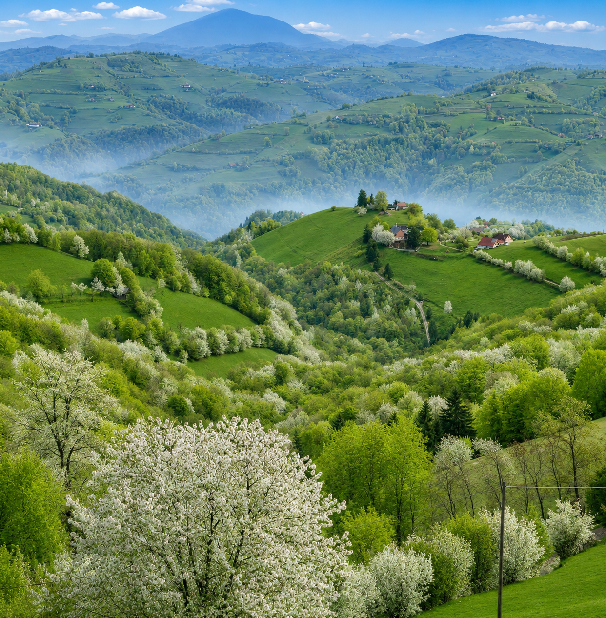 Poiana Mărului