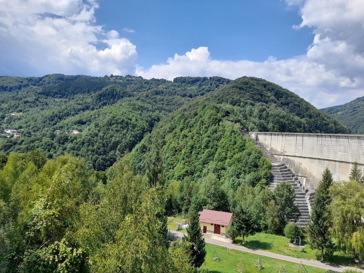 Paltinu Reservoir